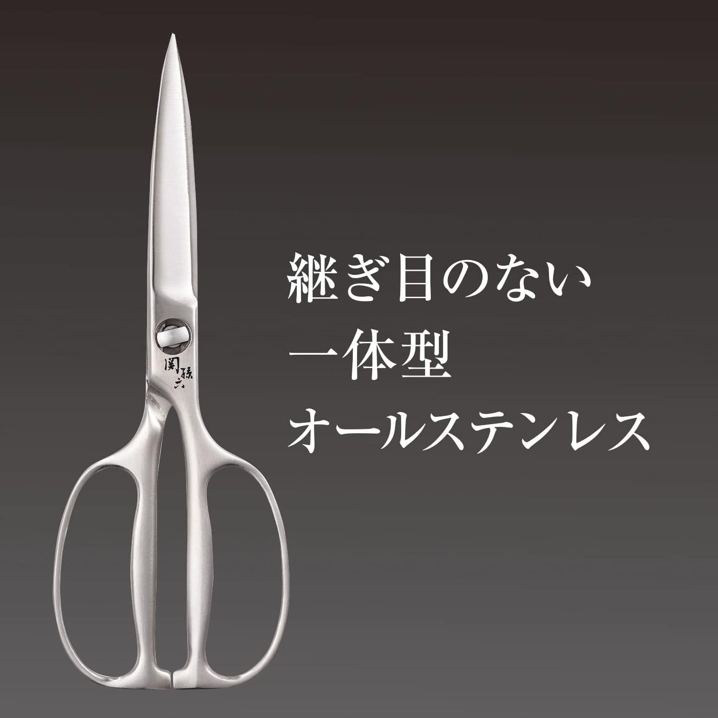 Kai Corporation DH3345 Seki Magoroku Kitchen Scissors, Disassembly, Forged, All Stainless Steel, Kitchen Tool, Made in Japan